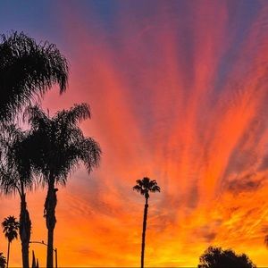 Meet your Posher, Kelley